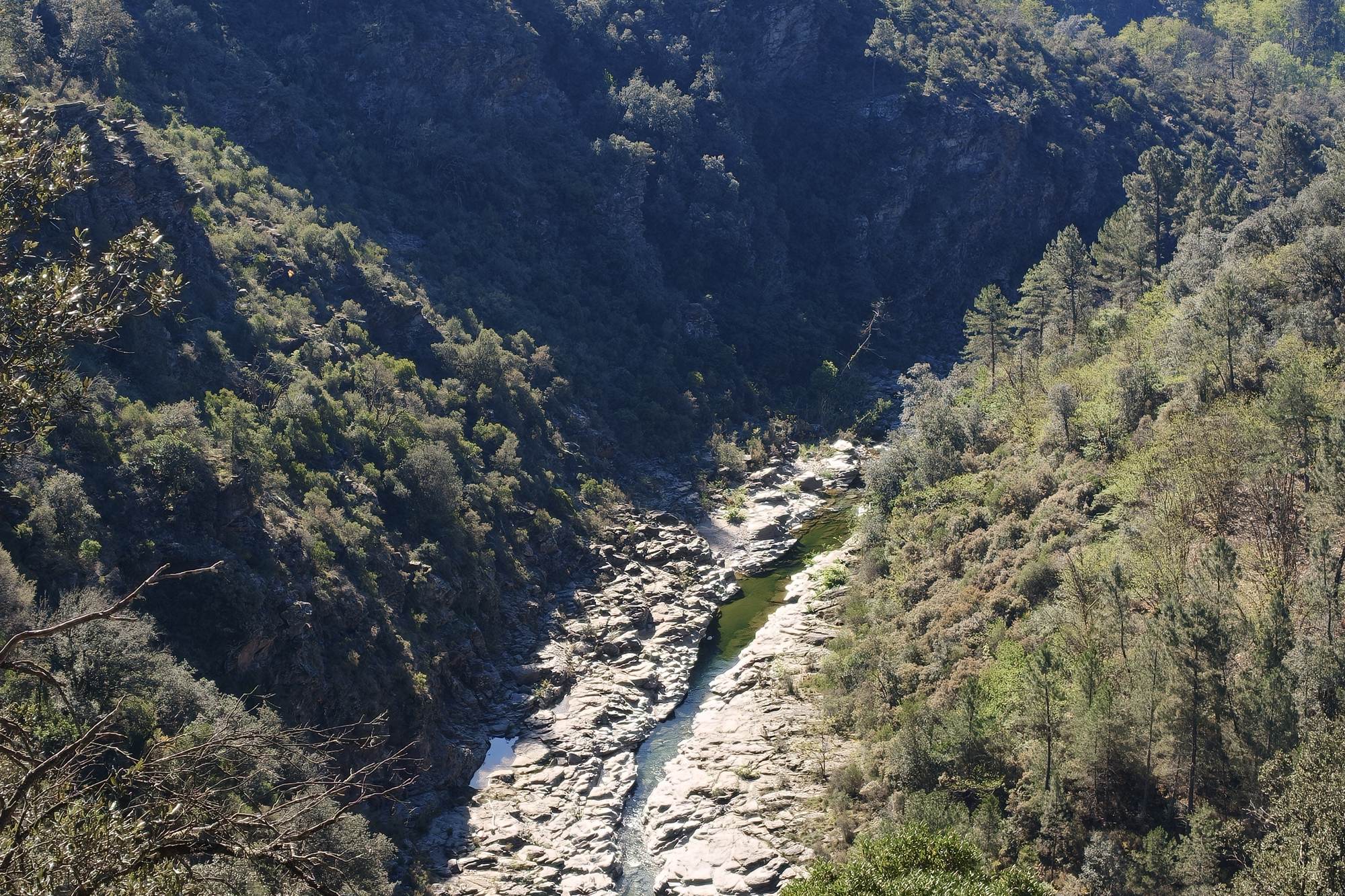 Gorges de la Cèze vues depuis les crêtes, au-dessus de Chambon