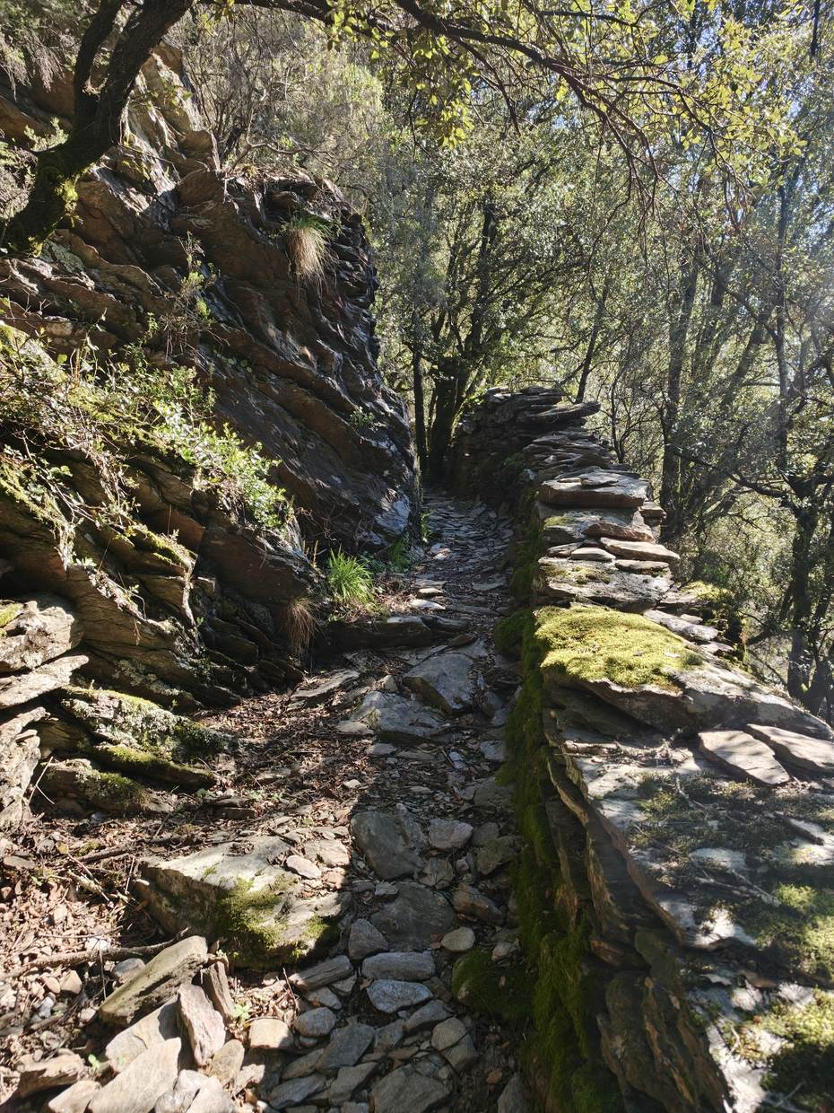 Sentier empierré bordé d'un muret de schiste couvert de mousse, en sous-bois